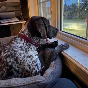 Meet your Posher, Glenn